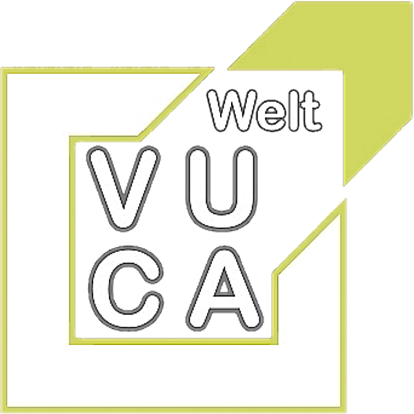 VUCA Sparring